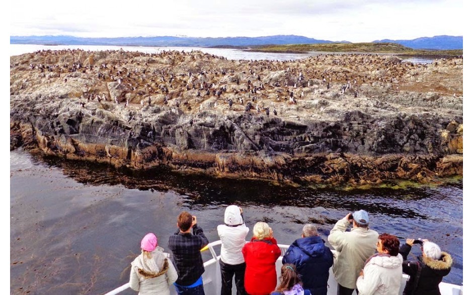 Navegação Canal Beagle - Inverno - Ushuaia - Imagem 6