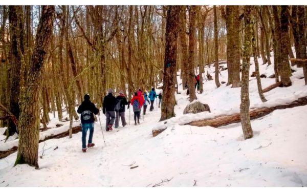 Trekking Laguna Esmeralda - Inverno - Ushuaia - Imagem 6