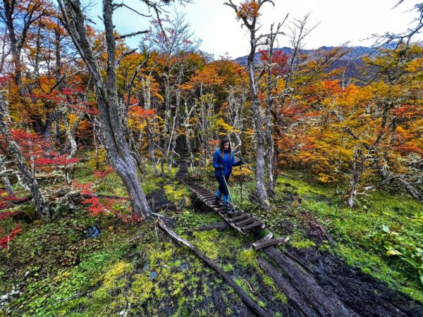 Trekking Laguna de Los Tempanos e Glaciar Vinciguerra - Verão- Ushuaia - Imagem 5