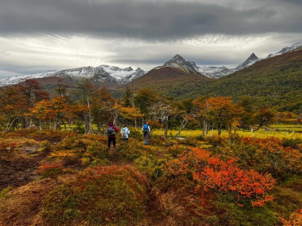 Trekking Laguna de Los Tempanos e Glaciar Vinciguerra - Verão- Ushuaia - Imagem 8