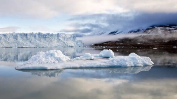 Estância Cristina Discovery com 4x4 + Almoço - El Calafate - Imagem 8