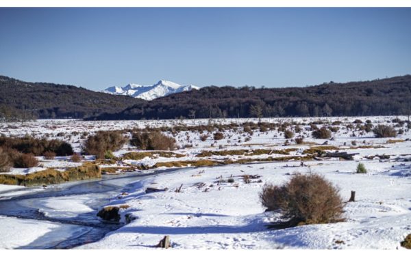 Parque Nacional Tierra del Fuego Ushuaia Inverno - Trem (Opcional) - Imagem 3