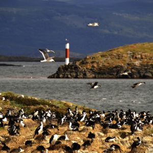 Navegação Canal Beagle - Inverno - Ushuaia