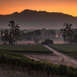 Haras de Pirque Sunset  - Chile