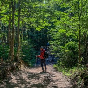 Pacote Ushuaia - Adventure - 6 Dias e 5 Noites