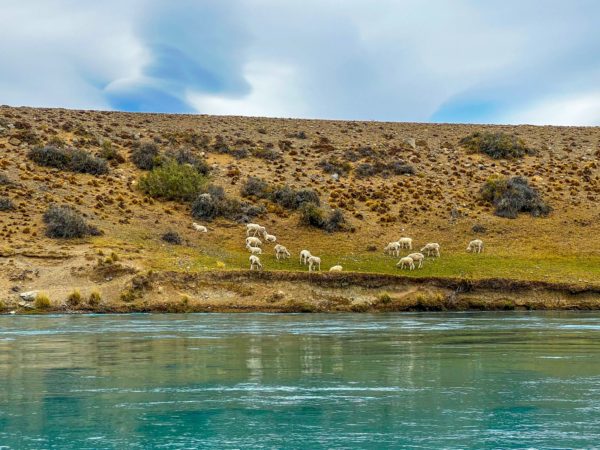 Darwin Experience, Kayaks e Aventura - El Calafate - Imagem 3