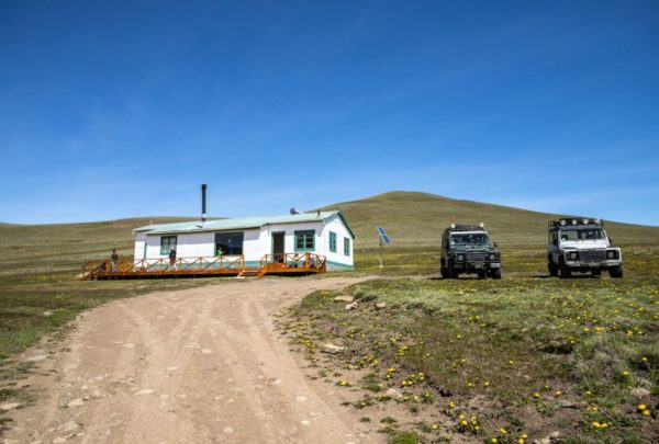 Safari Experience, Fauna e Estepa - El Calafate - Imagem 4