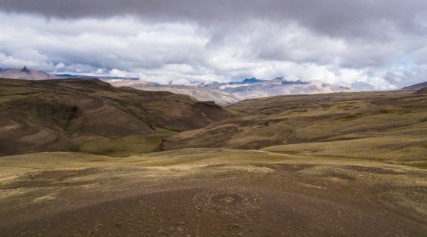 Safari Experience, Fauna e Estepa - El Calafate - Imagem 6
