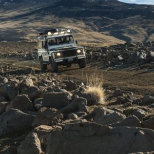 Safari Experience, Fauna e Estepa - El Calafate