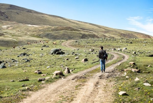 Safari Experience, Fauna e Estepa - El Calafate - Imagem 7