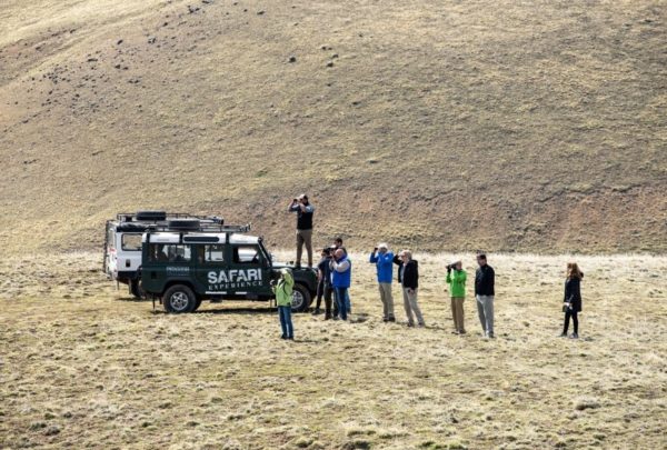 Safari Experience, Fauna e Estepa - El Calafate - Imagem 8