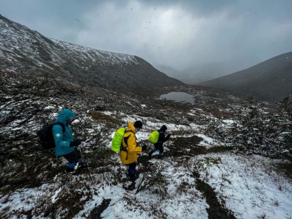 Trekking Laguna Turquesa e Monte Carbajal - Ushuaia - Imagem 7