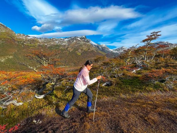 Cruzando a Cordilheira - Ushuaia - Imagem 2