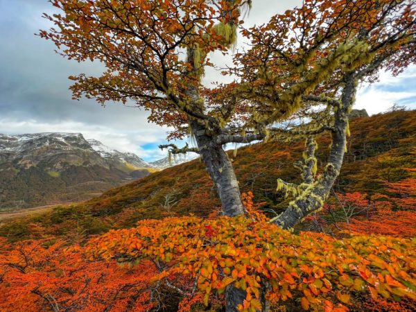 Cruzando a Cordilheira - Ushuaia - Imagem 6