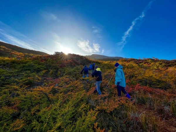 Cruzando a Cordilheira - Ushuaia - Imagem 4