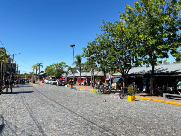 Tour Delta Tigre - Imagem 7