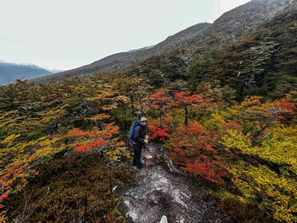 Trekking Laguna Turquesa e Monte Carbajal - Ushuaia - Imagem 3