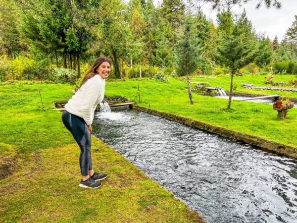 Day Tour El Bolson - Imagem 5