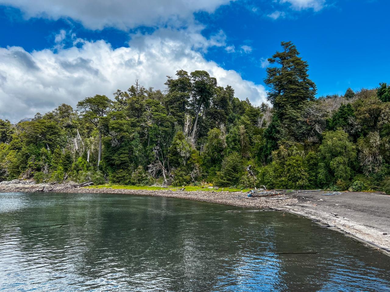 Puerto Blest e Cascada los Cantaros - Imagem 7