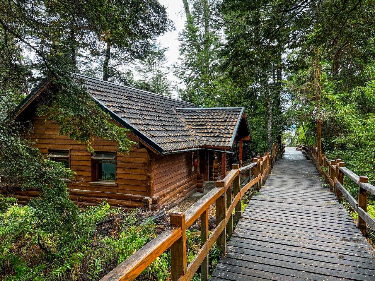 Puerto Blest e Cascada los Cantaros - Imagem 8