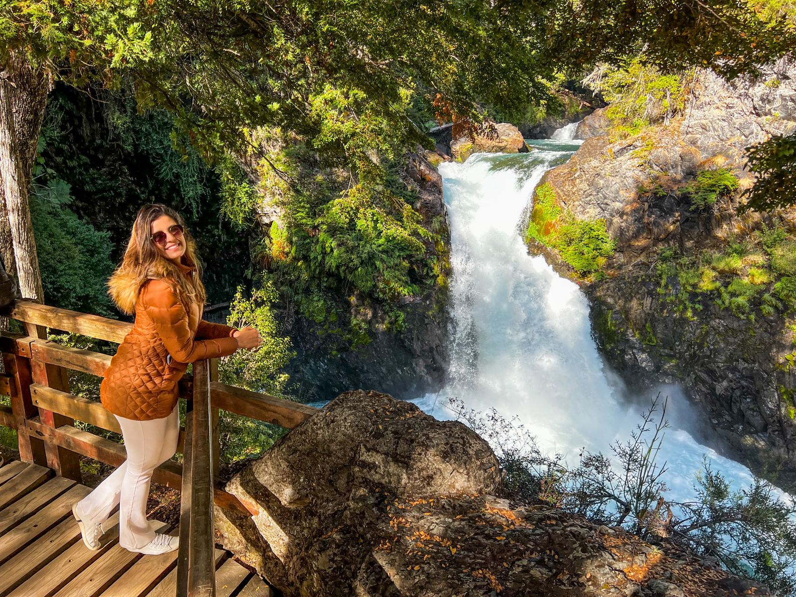 Cerro Tronador e Cascada Los Alerces - Imagem 2