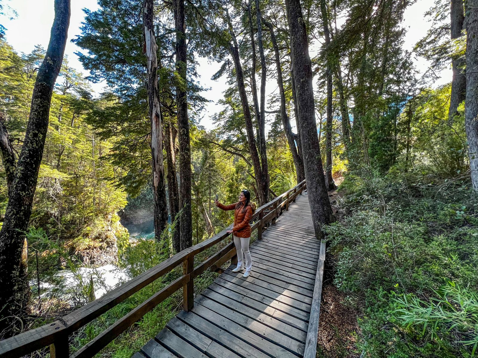 Cerro Tronador e Cascada Los Alerces - Imagem 8