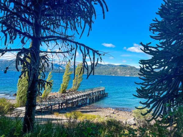 Ilha Victoria e Bosque de Arrayanes - Imagem 5