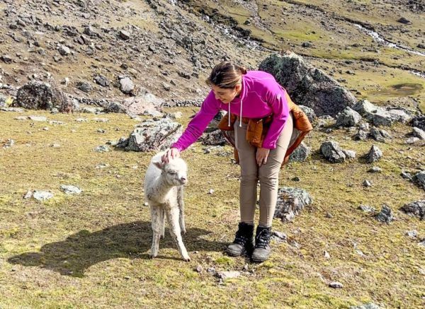 Trekking 7 Lagunas + Águas Termais - Imagem 6
