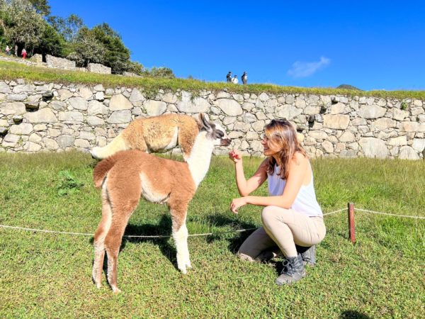 Day Tour Machupicchu Exclusivo - Imagem 3