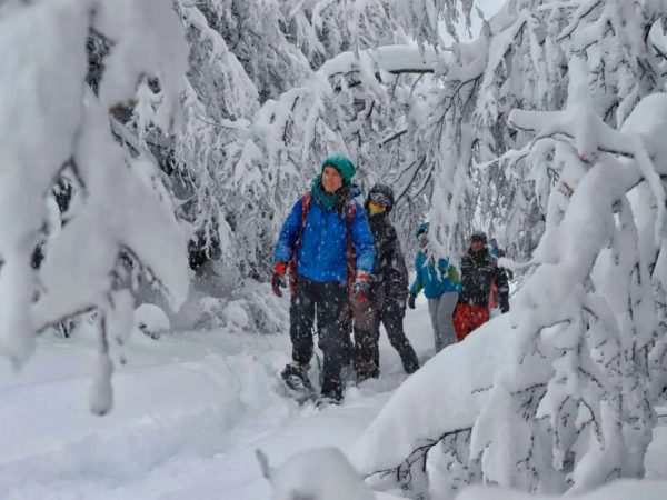 Refúgio Roca Negra - Caminhada com Raquetes de Neve e Fondue - Imagem 3