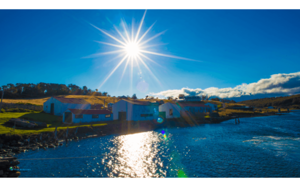 Caminhada com Pinguins + Navegação - Verão - Ushuaia - Imagem 7