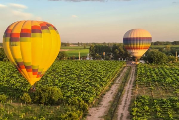 Passeio de Balão em Mendoza - Argentina - Imagem 8