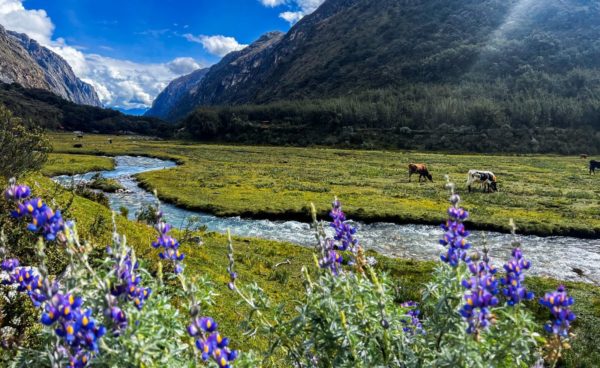 Trekking Laguna 69 - Imagem 6