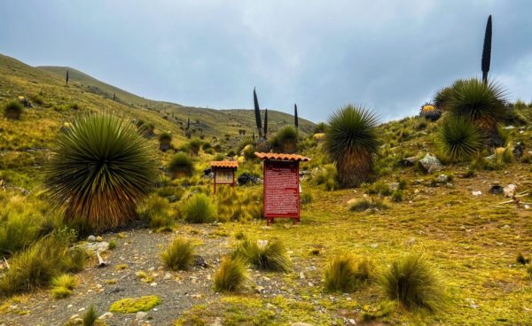Base Nevado Pastoruri - Imagem 8