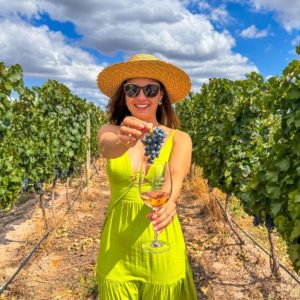 Pacote Mendoza Experience - 7 dias e 6 noites