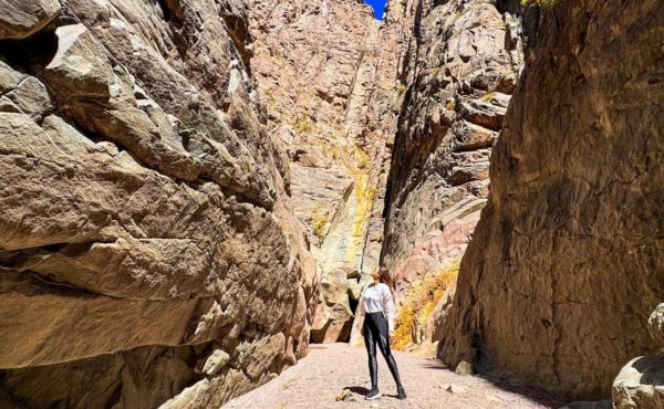 Tour Cañon Del Atuel - Imagem 8
