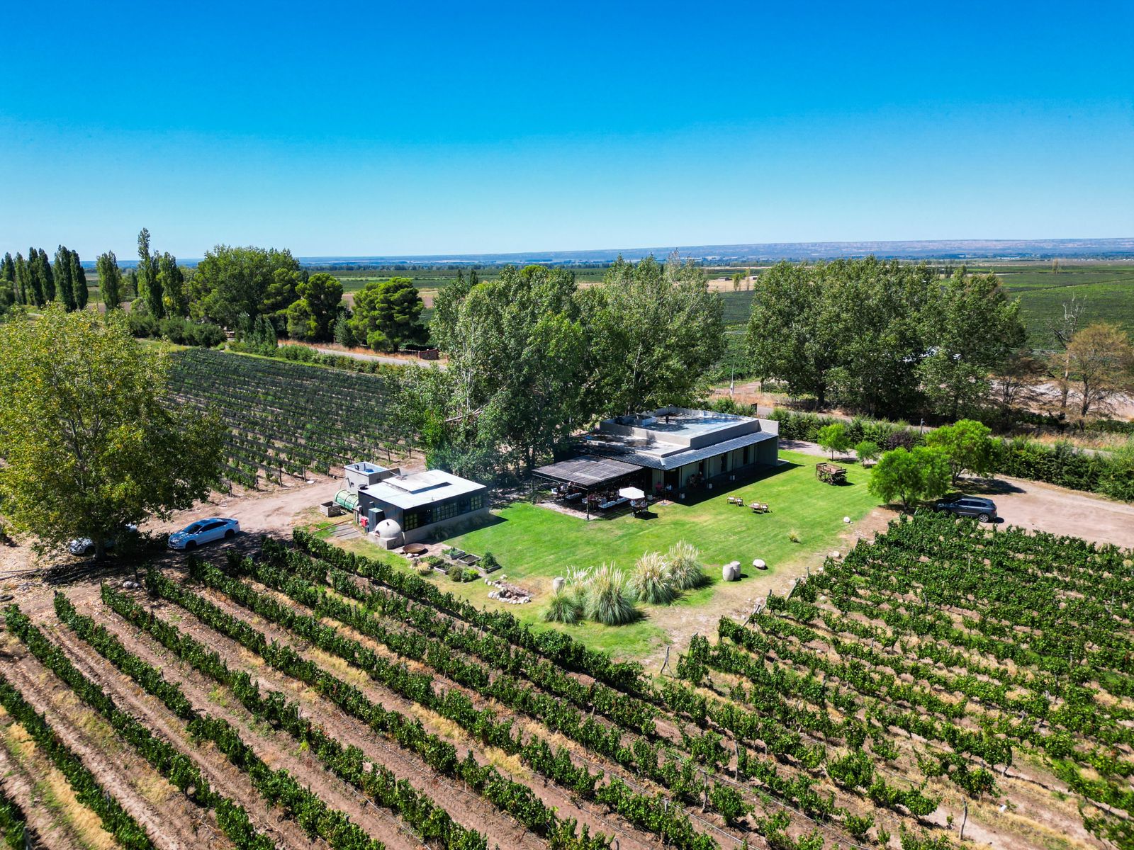 Vinícolas Premium Valle do Uco - Imagem 7