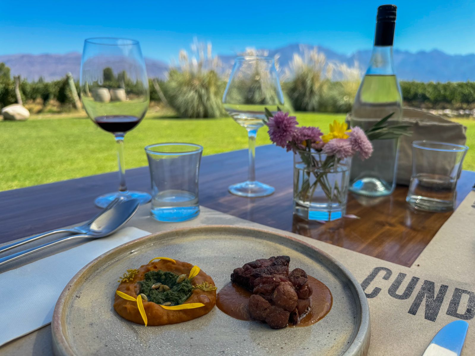 Vinícolas Premium Valle do Uco - Imagem 6