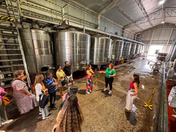 Vinícolas e Olivícola em Maipu - Imagem 8
