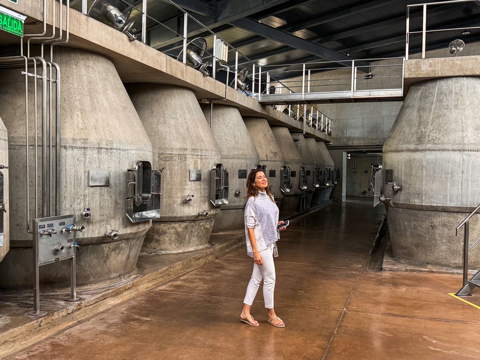 Vinícolas Premium Valle do Uco - Imagem 3