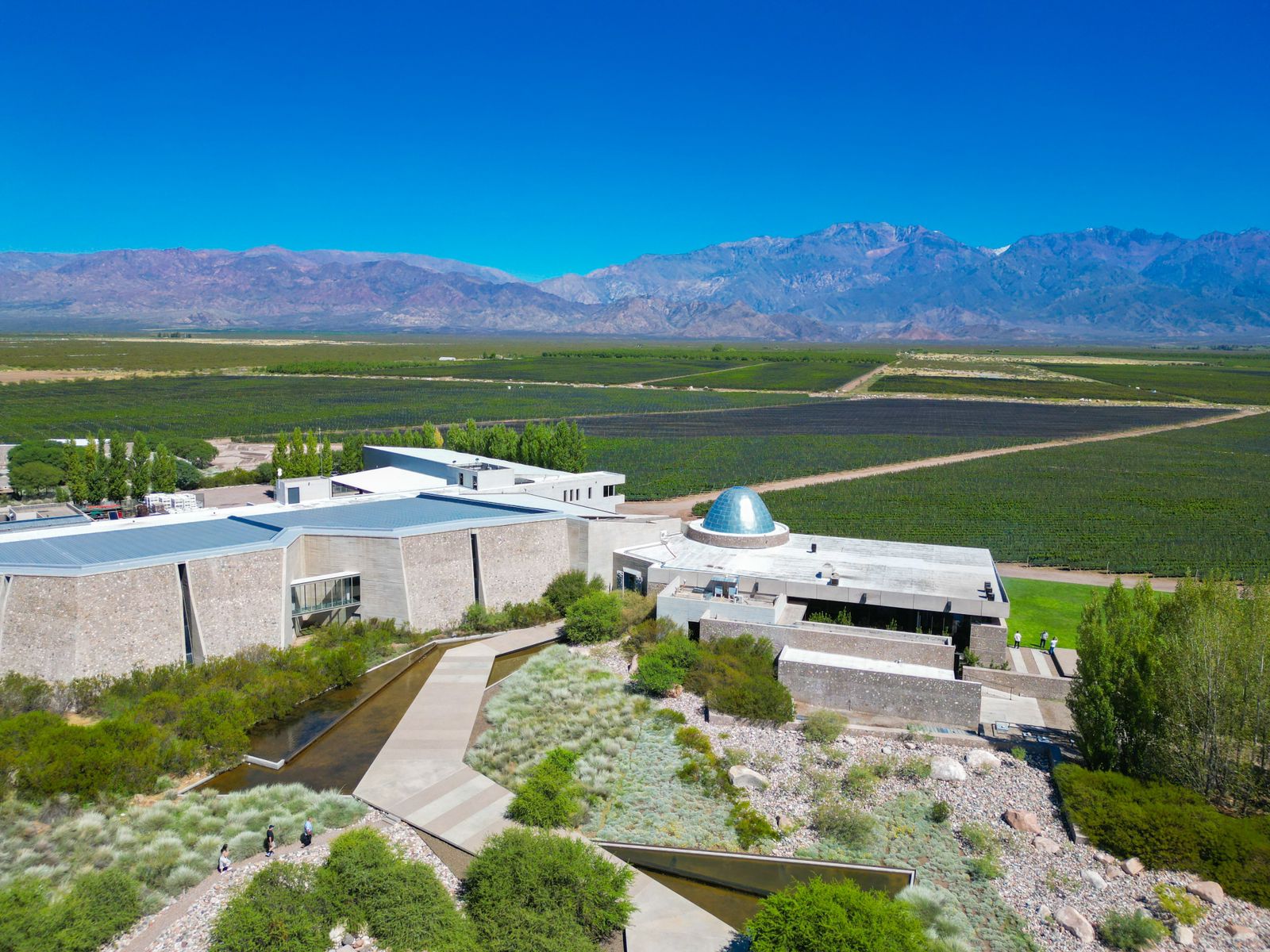 Vinícolas Premium Valle do Uco