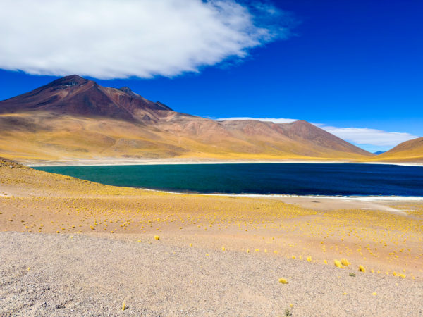 Tour Piedras Rojas e Lagoas Altiplânicas - Imagem 3