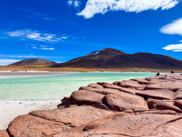 Tour Piedras Rojas e Lagoas Altiplânicas - Imagem 4