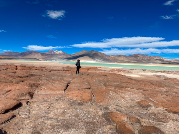 Tour Piedras Rojas e Lagoas Altiplânicas - Imagem 6