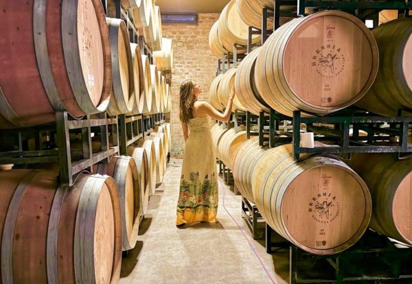 Vinícolas Premium de Luján de Cuyo