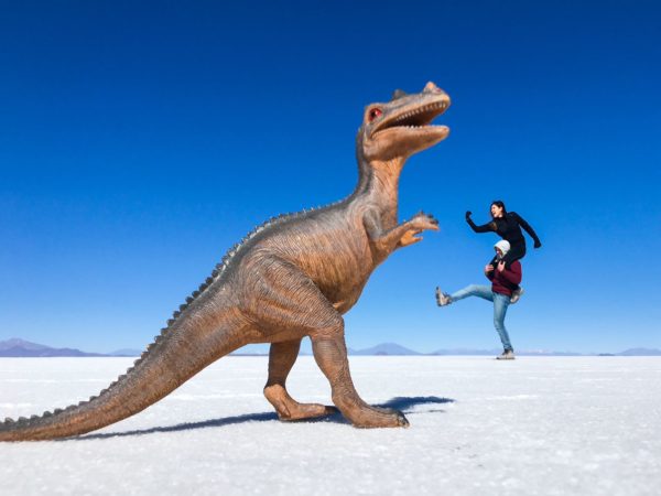 Pacote Salar de Uyuni Privado 3 Dias e 2 Noites (Uyuni - Atacama) - Imagem 4