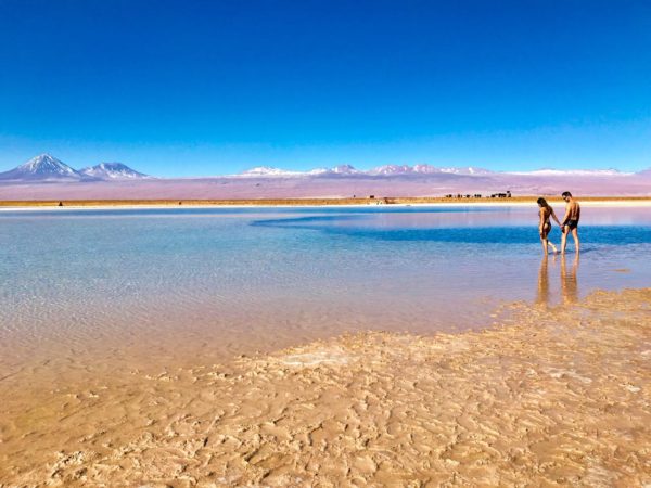 Lagunas do Atacama, Flotação e Ojos del Salar - Imagem 3