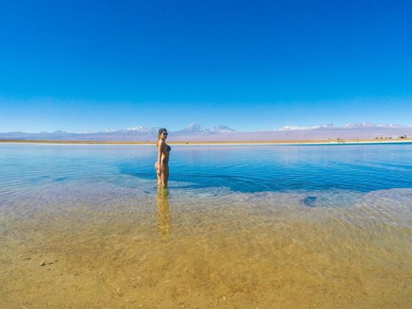 Lagunas do Atacama, Flotação e Ojos del Salar - Imagem 5