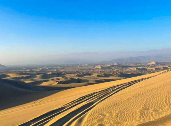 Full Day Oasis Huacachina e Ilhas Ballestas - Privado - Imagem 7