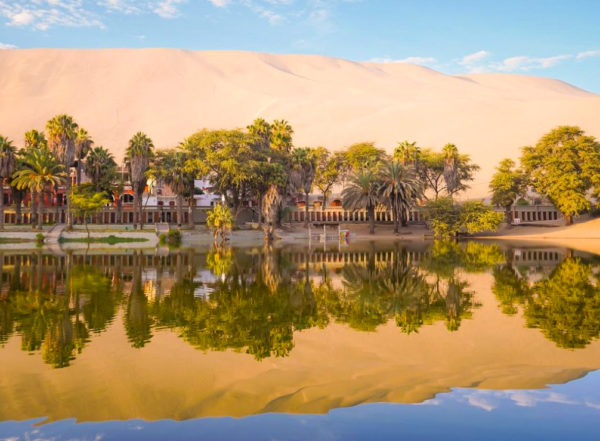 Full Day Oasis Huacachina e Ilhas Ballestas - Privado - Imagem 4